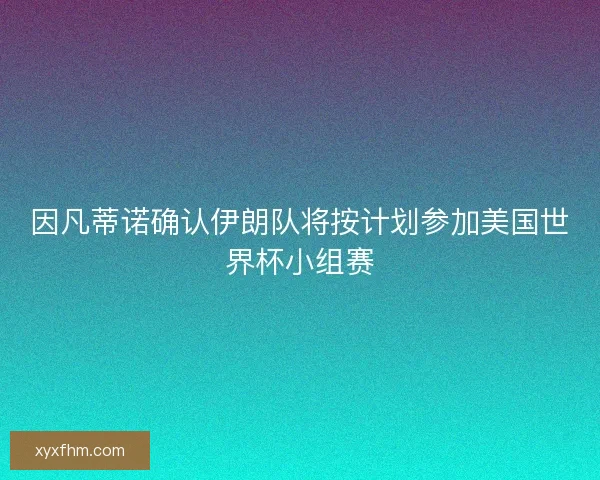 因凡蒂诺确认伊朗队将按计划参加美国世界杯小组赛
